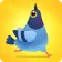 Логотип Pigeon Pop